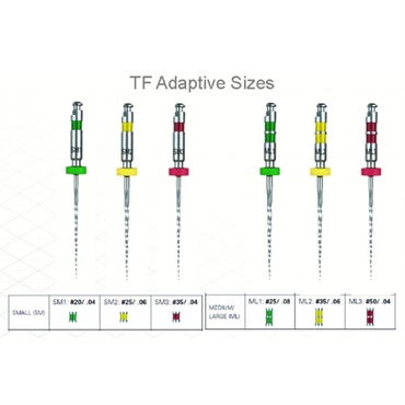 TF adaptive rotary file