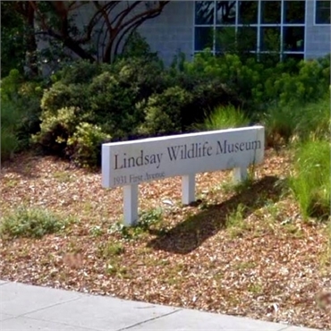 Lindsay Wildlife Experience near Walnut Creek's top dentist Brighter Day Dental