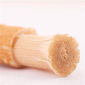 The miswak is a toothbrush made of Salvadora Persica tree and is quoted in the holy Quran. It is said that miswak was used and recommended by Islamic prophet Muhammad. However, miswak bristles are quite hard and cause overbrushing lesions.