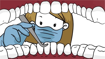 What to Know Before Becoming a Dentist