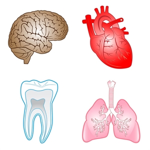 How Oral Health Impacts Your Overall Wellbeing