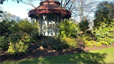 Beacon Hill Park at 4 minutes drive to the south of Victoria dentist Cook Street village Dental