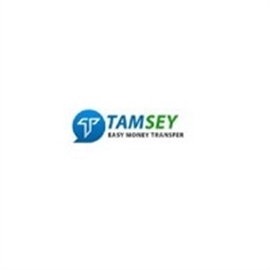 Tmasey Financial Services Ltd