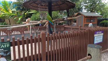 Naples Zoo at Caribbean Gardens at 4 minutes drive to the south of Naples dentist Matonti Dental