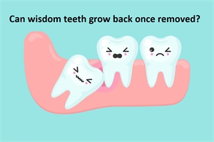 Can wisdom teeth grow back after extraction?