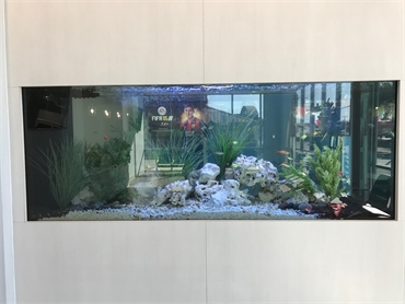 Aquarium at Dallas dentist Dulce Dental