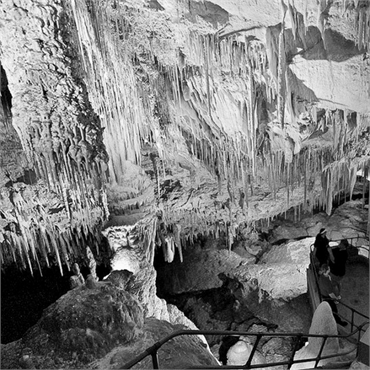 Crystal and Fantasy Caves 20 minutes drive to the north east of Hamilton Bermuda dentist ReNew Denta