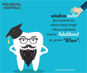 Wisdom teeth, otherwise known as third molars, are the last set of teeth to develop. 