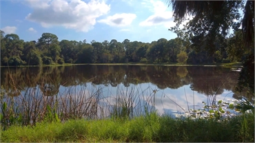 Lake Seminole Park at 5 minutes drive to the east of Bonham Dental Arts Seminole