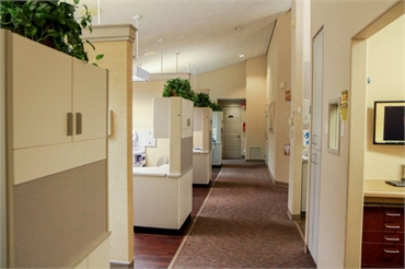 Hallway at Elite Dental