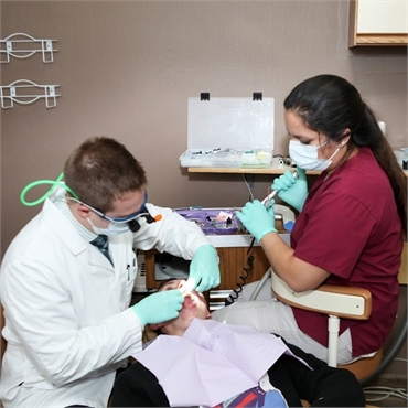 Sterling dentist Dr Colin Windom performing root canal