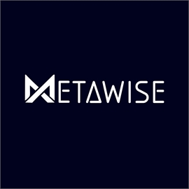 Metawise FZE