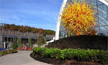 Chihuly Garden and Glass is at 15 minutes drive to the south of Seattle dentist Evergreen Smile Stud