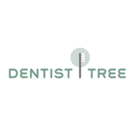 Dentist Tree Cypress