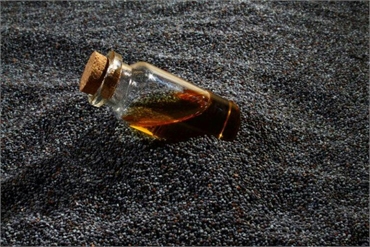 Evaluate Black Seed Oil as Herbal Medicine for Dental Care 