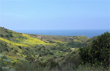 Crystal Cove State Park Laguna Beach at 19 minutes drive to the southeast of Lake Forest CA dentist 