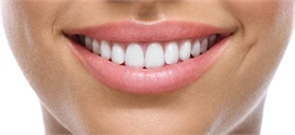 Dental Pro 7 Buy Online