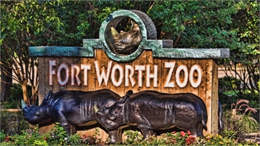 Fort Worth Zoo at 19 minutes drive to the north of Sycamore Smiles Pediatric Dentistry