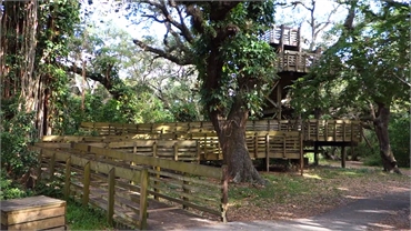 Tree Tops Park at 10 minutes drive to the northwest of Davie dentist One Dental Studio