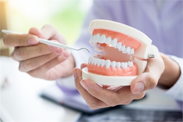 Choosing a Biological Dentist Your Path to Holistic Oral Health