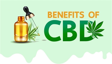   Understanding the Potential Uses for CBD In Dentistry