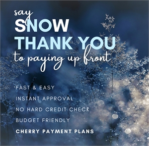 Say SNOW THANK YOU to paying up front.
